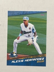 ALEXIS HERNANDEZ 2024 Myrtle Beach Pelicans Card MILB - Picture 1 of 1