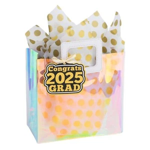 8.3'' Small 2025 Graduation Gift Bag with Tissue Paper and Gift Tag for Girl-... - Afbeelding 1 van 8