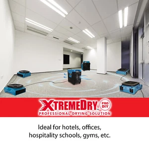 XPOWER XTREMEDRY Komplettes Set Professioneller DIY-Trocknungssysteme, 6 Sets EU - Afbeelding 1 van 7