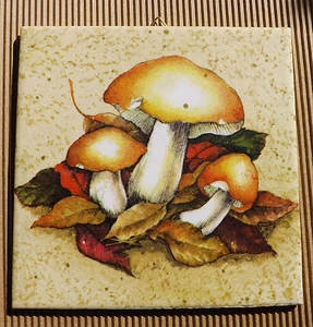 Azulejo decorativo cumpleaños gracias traer idea de regalo setas (048) - Imagen 1 de 2