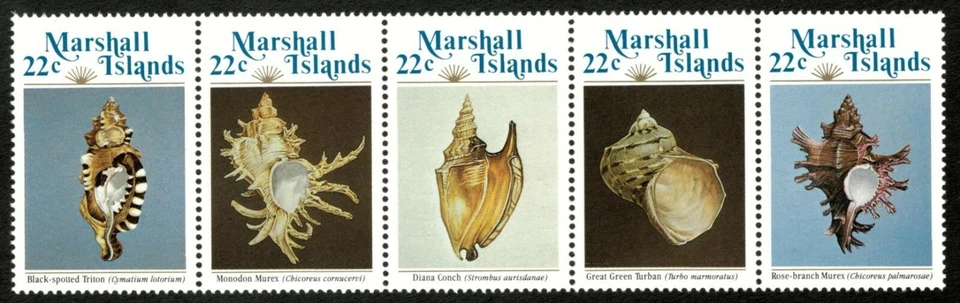 Маршалловы острова 1985 — типы морских ракушек — полоса из 5 — Scott 69a — как новые без наклеек и следов - Изображение 1 из 1