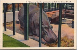 Kansas City MO Postkarte "Kleopatra das Nilpferd, SWOPE PARK ZOO" Leinen 1939 - Bild 1 von 2