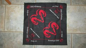 MOTORCYCLE RACING BIKETOBERFEST DAYTONA 2002 SCARF - Picture 1 of 2