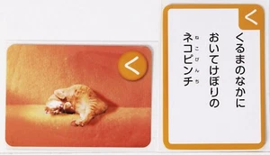 Pui Pui Molcar Karuta Karte Vol.1-08 Tier Meerschweinchen japanisches Zeichen - Bild 1 von 10
