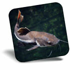 Awesome Fridge Magnet - Redtail Catfish Fish Fishing Pond Lake Cool Gift #24100