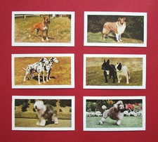 HORNIMANS  SIX  VINTAGE  1961  COLLECTABLE  TEA CARDS   DOGS   28-32-33-35-37-38