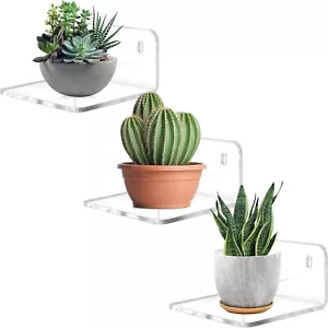3 Pack Acrylic Mini Floating Wall Shelf for Pop Figures Plants Photos Clear - Picture 1 of 8
