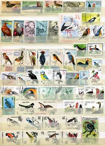 Lote motivos de aves - en su mayoría o (51578) - Imagen 1 de 2