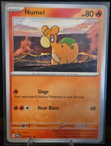 Pokémon TCG - Numel - 11/91 - Paldean Fates - Picture 1 of 2