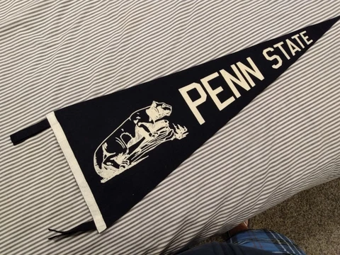 Penn State Nittany Lions Pennant, 11.5 x 29.5" Cover