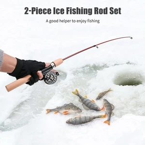 Fishing Rod with Telescopic Features and Fishing Reel for Winter Fishing Trips - Picture 1 of 18