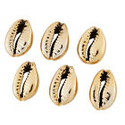 50xElectroplated Shell Beads Loose Spacer Cowrie Shell Large Hole Charms 15~20mm