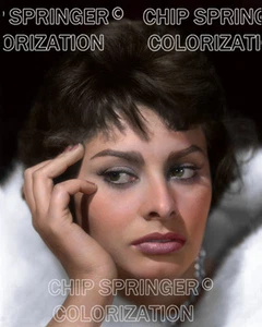 SOPHIA LOREN WEARING FUR BEAUTIFUL COLOR PHOTO BY CHIP SPRINGER - Picture 1 of 1