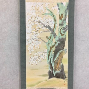 Pintura japonesa de pergamino colgante flor de cerezo con caja antigua asiática 5dT - Imagen 1 de 12