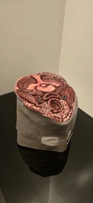 Halloween Mask by California Costume Collection Inc. Decapitated Head Mask - Image 1 of 4