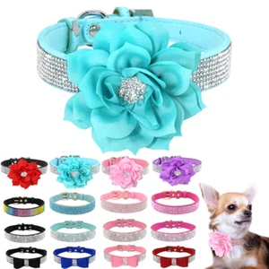 Collar Cristal Gamuza Cuero Perro Gato Brillante Estrás Flor Mascota Cachorro - Imagen 1 de 38