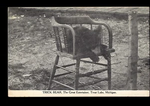 postcard Trick Bear, The Great Entertainer, Trout Lake, MI (P-1-R) - Picture 1 of 2