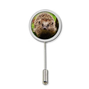 Pin de corbata de erizo insignia con protector regalo de cumpleaños ideal C55 - Imagen 1 de 1