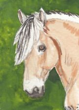 ACEO original Watercolor Art Card HORSE bay dun Sweet Norwegian Fjord filly