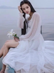 Ladies Victorian Gothic Vintage Dress Ruffle Lolita Elegant Fairy Chiffon Dress - Picture 1 of 8