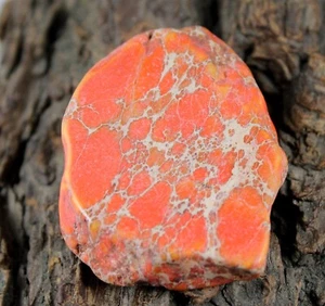 Zertifiziert 101,95 Karat Natur Orange Carico Lake Türkis Poliert Grob T6011 - Bild 1 von 7