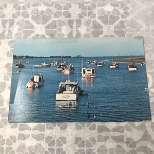 View Of Chatham Harbor Cape Cod Massachusetts Postcard Unposted Lazarus Photo - Picture 1 of 3