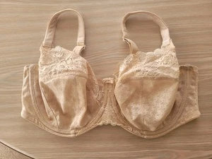 Panache Bra 40E Beige Colour Underwired Adjustable Straps Hook And Eye Fastening - Picture 1 of 5
