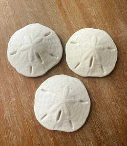 Juego de 3 imanes de dólar de arena artificiales ecológicos - Imagen 1 de 2