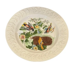 Vintage John James Audubon Birds of America Baltimore Oriole Teller England 10 Zoll - Bild 1 von 2