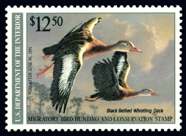 RW57 — 1990 SUPERB 98 NH, PSE Certificate - Image 1 of 1