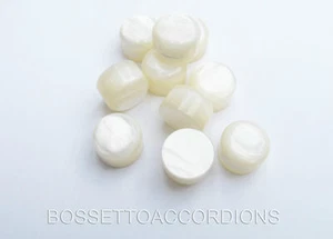 Accordion Buttons White Pearl 13x9 (mm)  - Picture 1 of 3