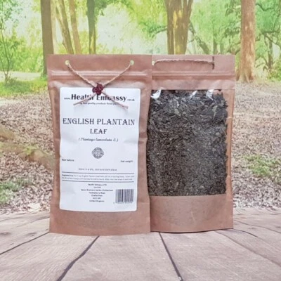 HEALTH EMBASSY Englisches Wegerichblatt | Plantago Lanceolata L | Loser Kräutertee Gesundheit Botschaft