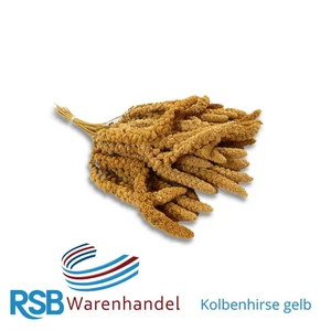 1 kg Kolbenhirse gelb Kanarienfutter Vogelfutter Sittiche Ziervögel Lecker.Pet®