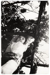 Kleiner Junge im Baum, ungewöhnlicher Winkel seltsam seltsames Foto, Vintage Schnappschuss +5896F - Bild 1 von 1