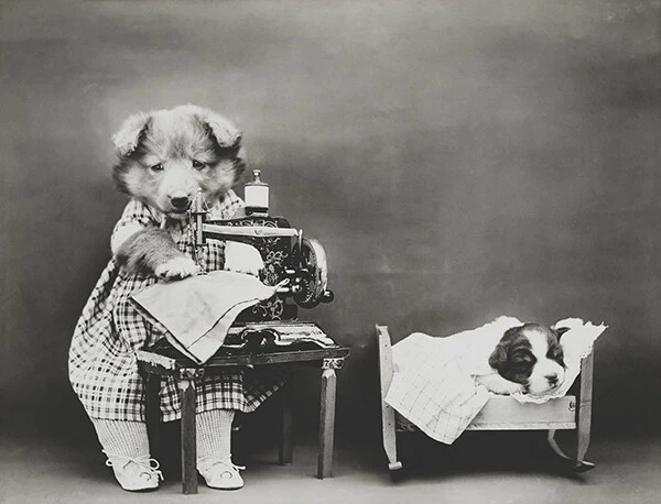 Hacer ropa de bebé - Máquina de coser perro cachorro - 1914 - Póster fotográfico Foto 1 de 1