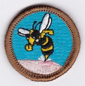 MERIT BADGE - SPOOF - BEE STING - 1-1/2" DIA. - PRIVATE ISSUE - BROWN BORDER - Picture 1 of 1