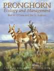 Pronghorn: Ekologia i Mangemt: Ekologia i zarządzanie autorstwa Bart W O'Gara: Używany