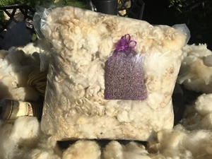 Cotswold Sheep Fleece First Wash 1kg. Pedigree Rare Breed Long Lustre Wool - Picture 1 of 6