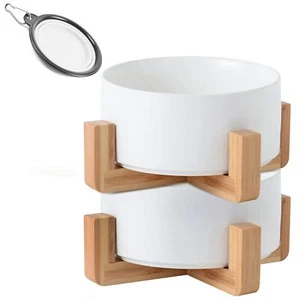 White Ceramic Dog Cat Bowl Dish With Stand For Food And Water Feeder Modern Cute - Picture 1 of 7