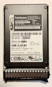 4XB7A13653 - LENOVO 800Go SAS 2.5" 12Gbit/s SSD HDD - FR: 01PE076 - Photo 1/9
