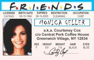 MONICA GELLER COURTENEY COX FRIENDS TV SHOW NOVELTY PLASTIC CARD