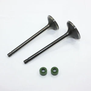 ZS CB 250cc Engine Head Intake Exhaust Valves PIT PRO TRAIL QUAD DIRT BIKE ATV - Picture 1 of 6