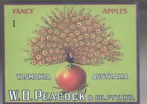 VINTAGE FRUIT BOX LABEL , BEAUTIFUL , PEACOCK BRAND APPLES , TASMANIA AUS 1960 - Foto 1 di 1