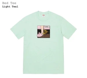 Brand New Supreme® Bed Tee - Light Teal - Size Medium - FW21 T-shirt - Picture 1 of 2