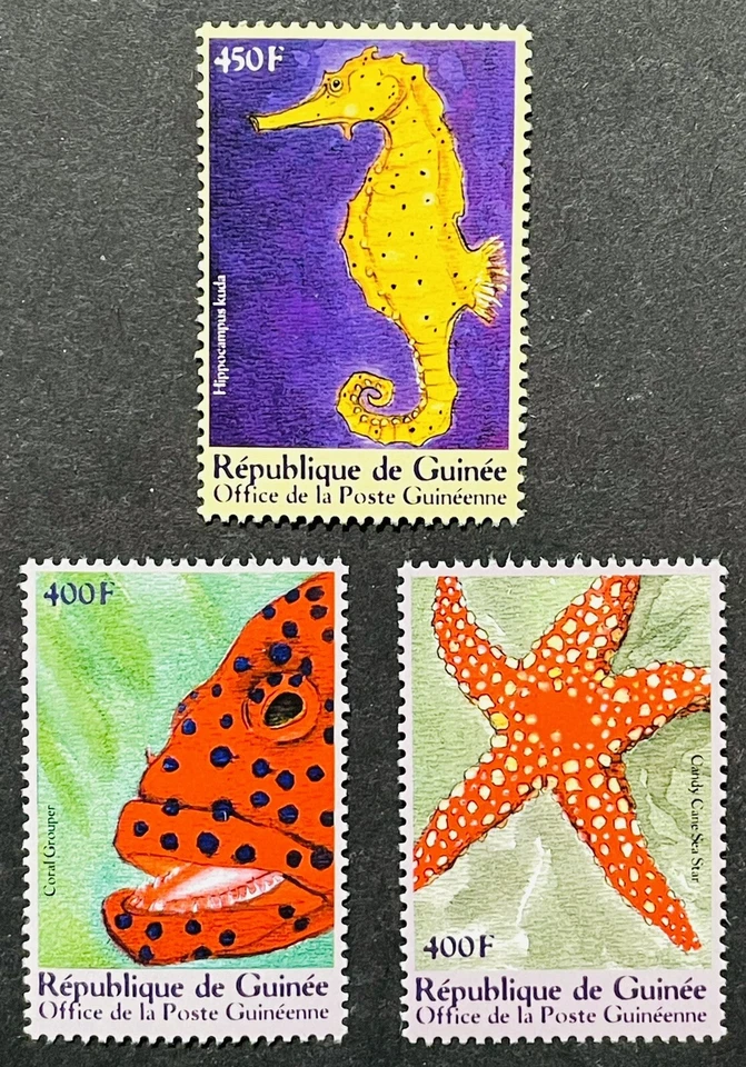 GUINEA MARINE LIFE STAMPS SET OF 3 MNH 2001 CANDY CANE SEA STAR OCEAN LIFE FISH - Image 1 of 1