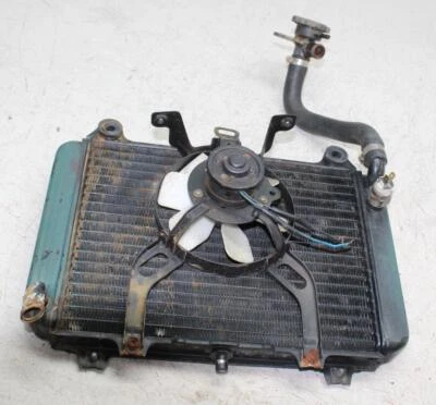 95-97 KAWASAKI NINJA 600R ZX600C MOTOR RADIADOR ENFRIADOR RADIADOR REFRIGERACIÓN Foto 1 de 4