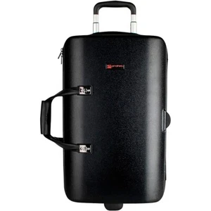 Protec Single / Double / Triple Horn ZIP ABS Case Black - Picture 1 of 8