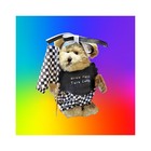 Boyds Bear +STAND+TAG Racing Drive Fast Turn Limited Edition LKNEW,Only.One.Ever