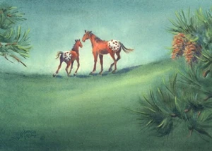 APPALOOSA SPOTS by Sharon Sharpe!!! - Picture 1 of 1