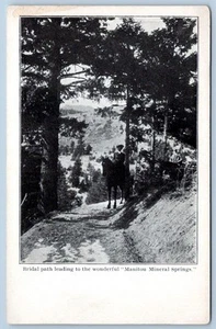 Pre-1907 MANITOU MINERAL SPRINGS COLORADO ATLANTIC CITY SOUVENIR ERROR POSTCARD - Picture 1 of 2